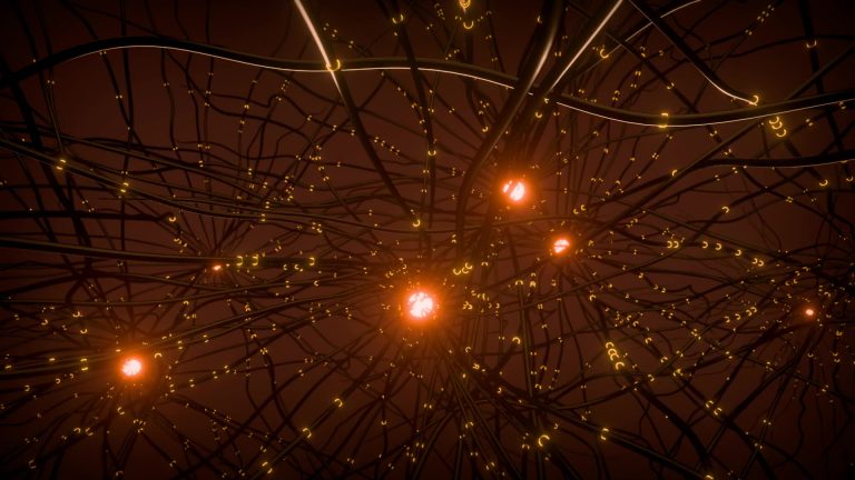 The Hidden Mirror: Why Your Mind Replays Your Life at the Edge of Death