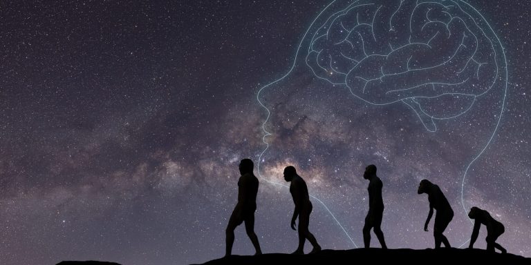 The Birth of the Inner World : How the Final Moment Creates a Universe Made of You